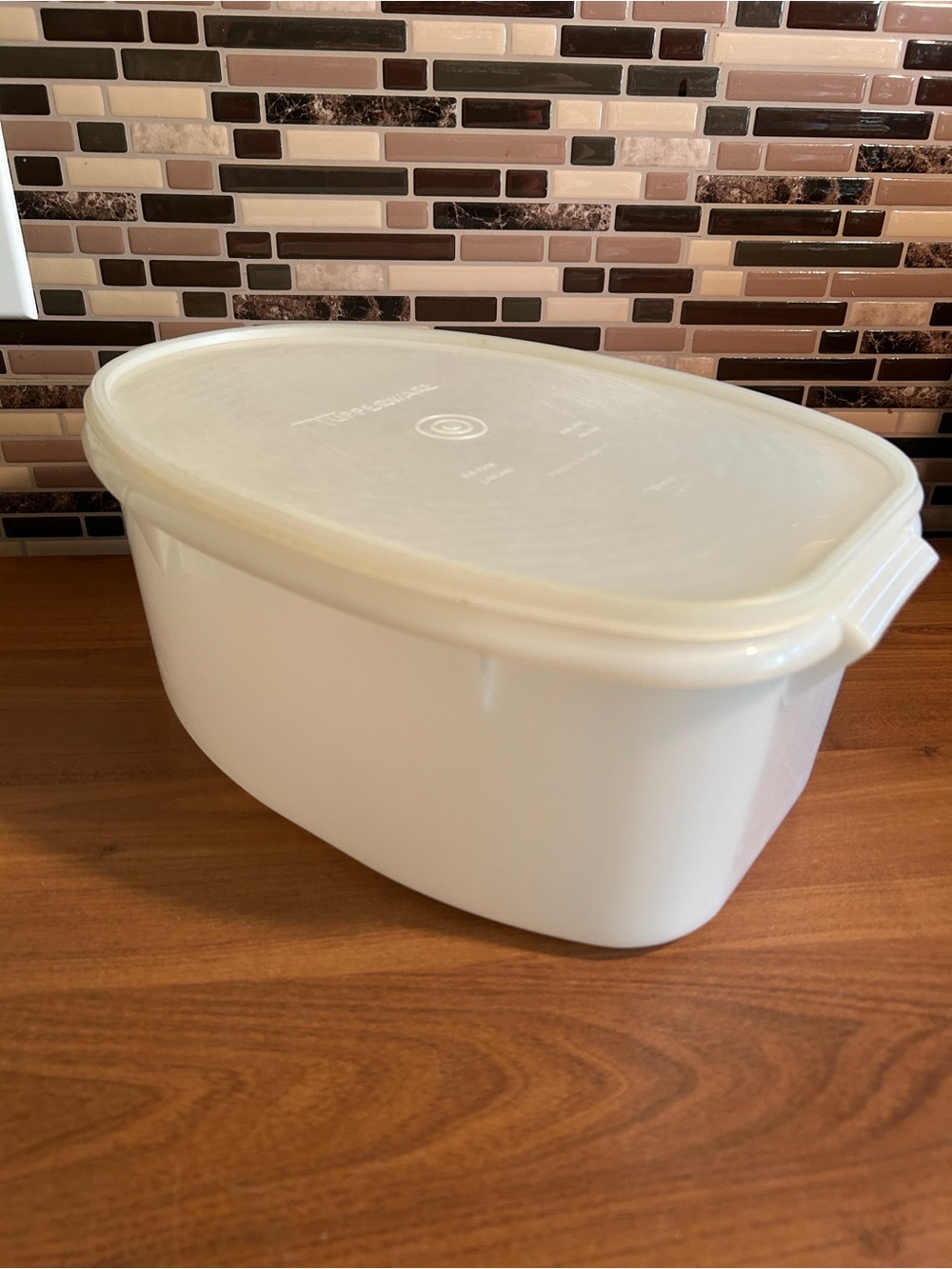 Vintage Tupperware Flavor Saver Storage Container w Lid - Chicken Turkey